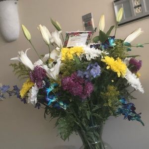 Meet your Posher, Darialys